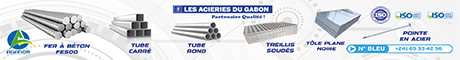 LES ACIERIES DU GABON